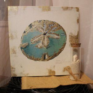 Sand dollor picture canvas